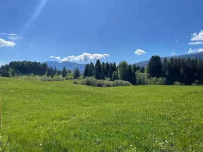 Naturlandschaft in der Nähe der Ferienwohnung