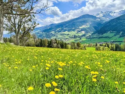 Naturlandschaft in der Nähe der Ferienwohnung