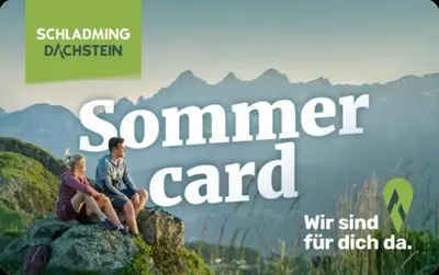 Naturlandschaft in der Nähe des Ferienhauses