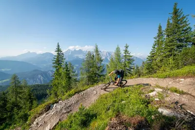 Naturlandschaft in der Nähe des Ferienhauses