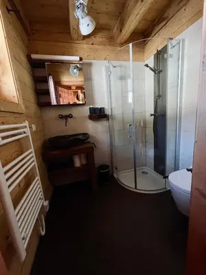 Ein Badezimmer in der Unterkunft Troadkastn Chalet Lachtal