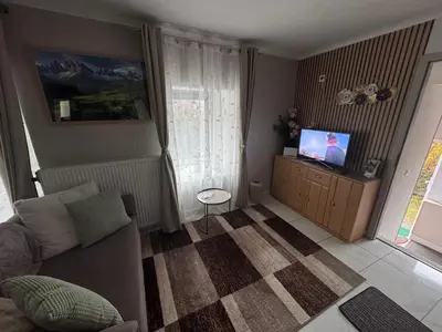 TV/Unterhaltungsangebot in der Unterkunft Park apartman Kertes ház a park mellett gyönyörű kilátással Dog friendly garden house with a wonderful view next to the park