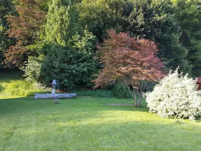 Ein Garten an der Unterkunft Ferienhaus Romy