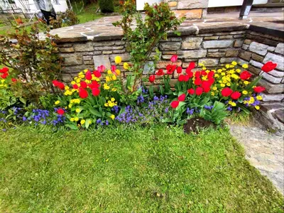 Ein Garten an der Unterkunft Ferienhaus Romy