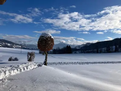 Naturlandschaft in der Nähe der Ferienwohnung