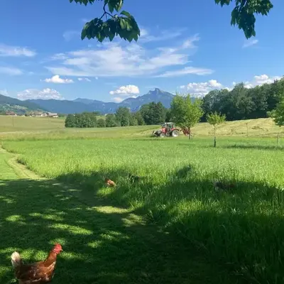 Ferienwohnung Mondsee-Irrsee