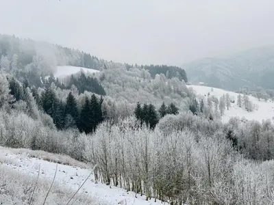Privatzimmer im Haus Holzmann am Gmundnerberg im Winter