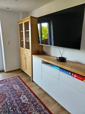 TV/Unterhaltungsangebot in der Unterkunft Appartement Traunsteinblick