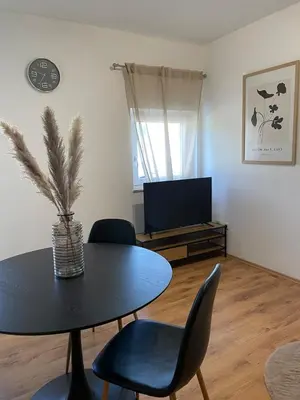 TV/Unterhaltungsangebot in der Unterkunft Zentrale Wohnung mit Georgenblick