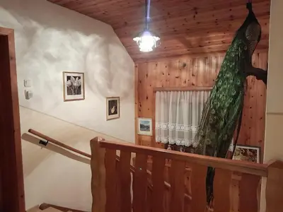 Grundriss der Unterkunft Ferienhaus zur Birke