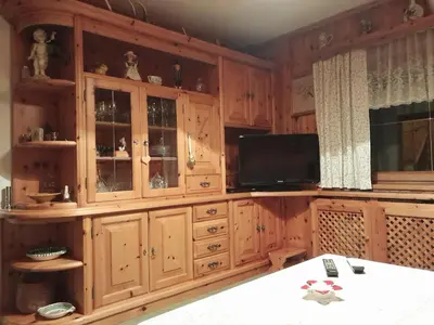 TV/Unterhaltungsangebot in der Unterkunft Ferienhaus zur Birke