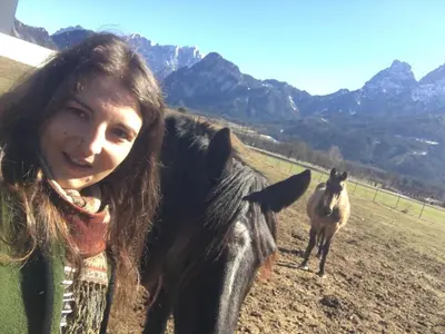 Tiere im Bed & Breakfast oder in der Nähe