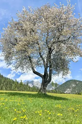 Naturlandschaft in der Nähe der Ferienwohnung