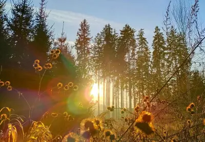 Naturlandschaft in der Nähe der Ferienwohnung