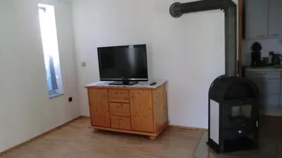 TV/Unterhaltungsangebot in der Unterkunft Ferienhaus Nest