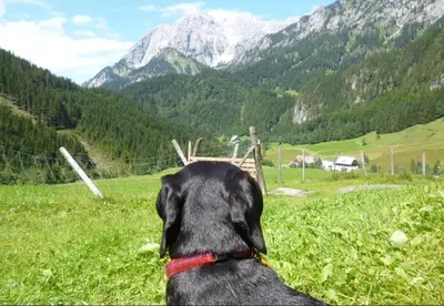 Ein allgemeiner Bergblick oder ein Berglick von der Ferienwohnung aus
