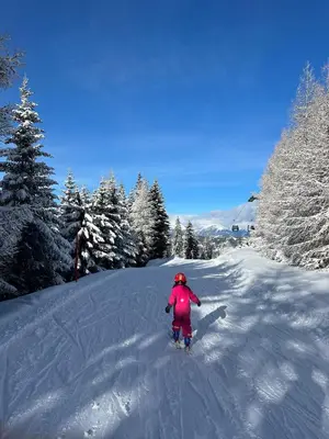 Familienfreundliches Chalet mit Sauna & Kamin 5 Minuten zum Skigebiet im Winter