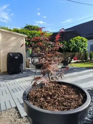 Ein Garten an der Unterkunft Der SteinStadL