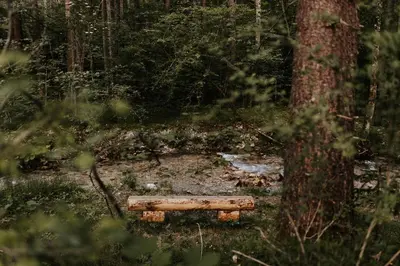 Naturlandschaft in der Nähe des Chalets