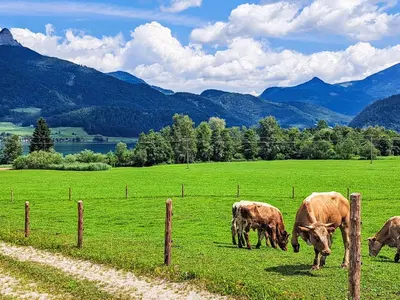 Naturlandschaft in der Nähe der Ferienwohnung