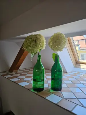 Grundriss der Unterkunft Rebenglück