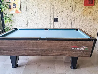 Ein Billardtisch in der Unterkunft Apartment Wohnung Garten 1 Seeblick by Interhome
