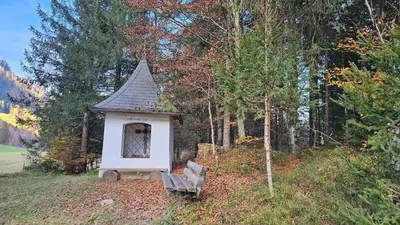 Naturlandschaft in der Nähe der Ferienwohnung