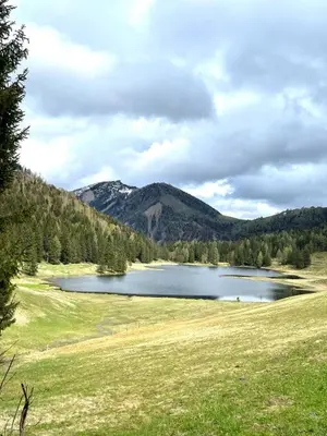 Naturlandschaft in der Nähe der Ferienwohnung