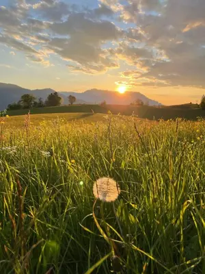 Naturlandschaft in der Nähe der Ferienwohnung