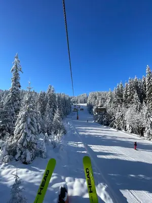 Alpine base near Hallstatt im Winter