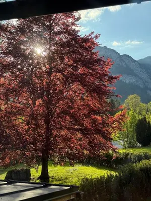 Naturlandschaft in der Nähe der Ferienwohnung