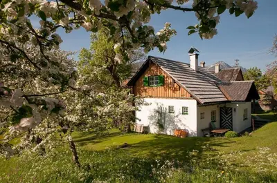 Ein Garten an der Unterkunft Hütterhof - Ferienhaus