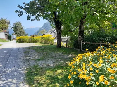 Naturlandschaft in der Nähe des Ferienhauses