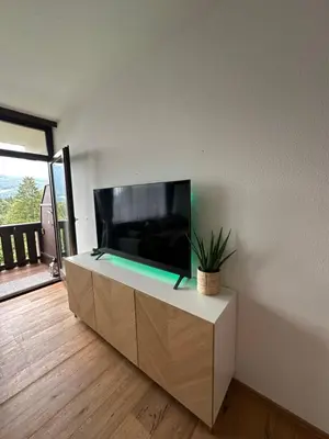 TV/Unterhaltungsangebot in der Unterkunft Steinbock Apartement