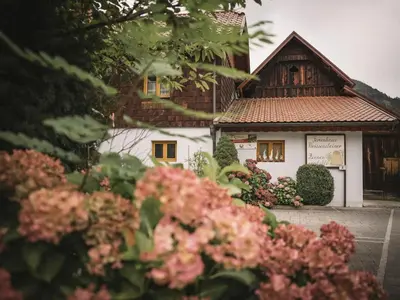 Ein Garten an der Unterkunft Ferienholzhaus in Sankt Gallen im Gesäuse in der Steiermark