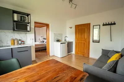 Küche/Küchenzeile in der Unterkunft BacherlHouse - Apt Sickingerbach