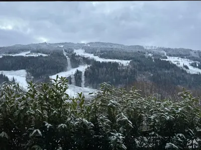 Naturlandschaft in der Nähe der Ferienwohnung
