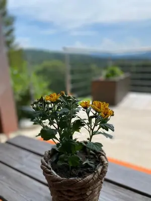 Ein allgemeiner Bergblick oder ein Berglick von des Ferienhauses aus