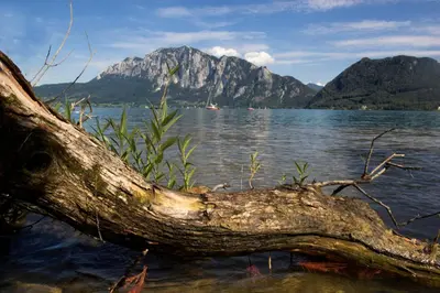 Naturlandschaft in der Nähe des Hotels