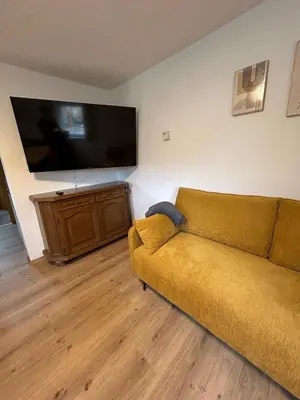 TV/Unterhaltungsangebot in der Unterkunft Panoramablick Hütte