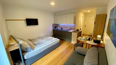 TV/Unterhaltungsangebot in der Unterkunft Modernes Apartment am Traunsee - See, Berge, Fitness & Parkplatz