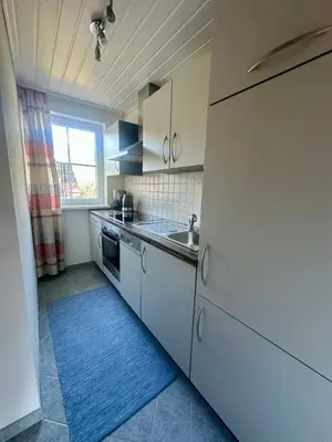 Küche/Küchenzeile in der Unterkunft Apartment Roßleithen