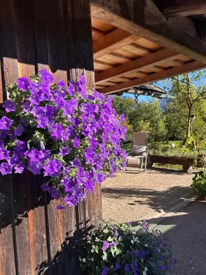 Ein Garten an der Unterkunft Ferienwohnung Bleckwand am Buchberghof