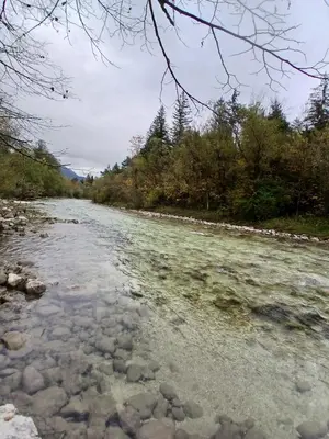 Naturlandschaft in der Nähe des Privatzimmers