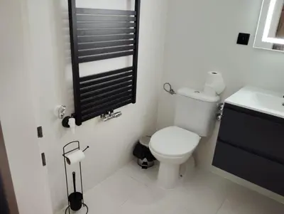 Ein Badezimmer in der Unterkunft Dachstein Apartments - Bad Mitterndorf