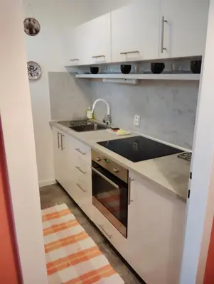 Küche/Küchenzeile in der Unterkunft Dachstein Apartments - Bad Mitterndorf