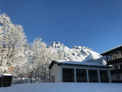 Alpenperle im Winter