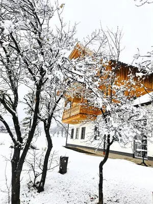 Lippingergut - 