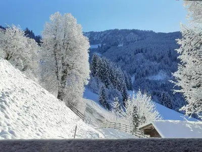 Grasreithütte im Winter
