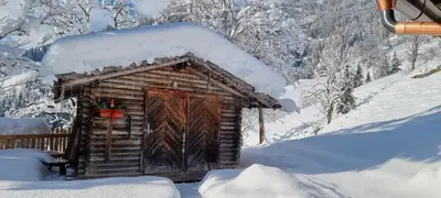 Faschinghütte im Winter